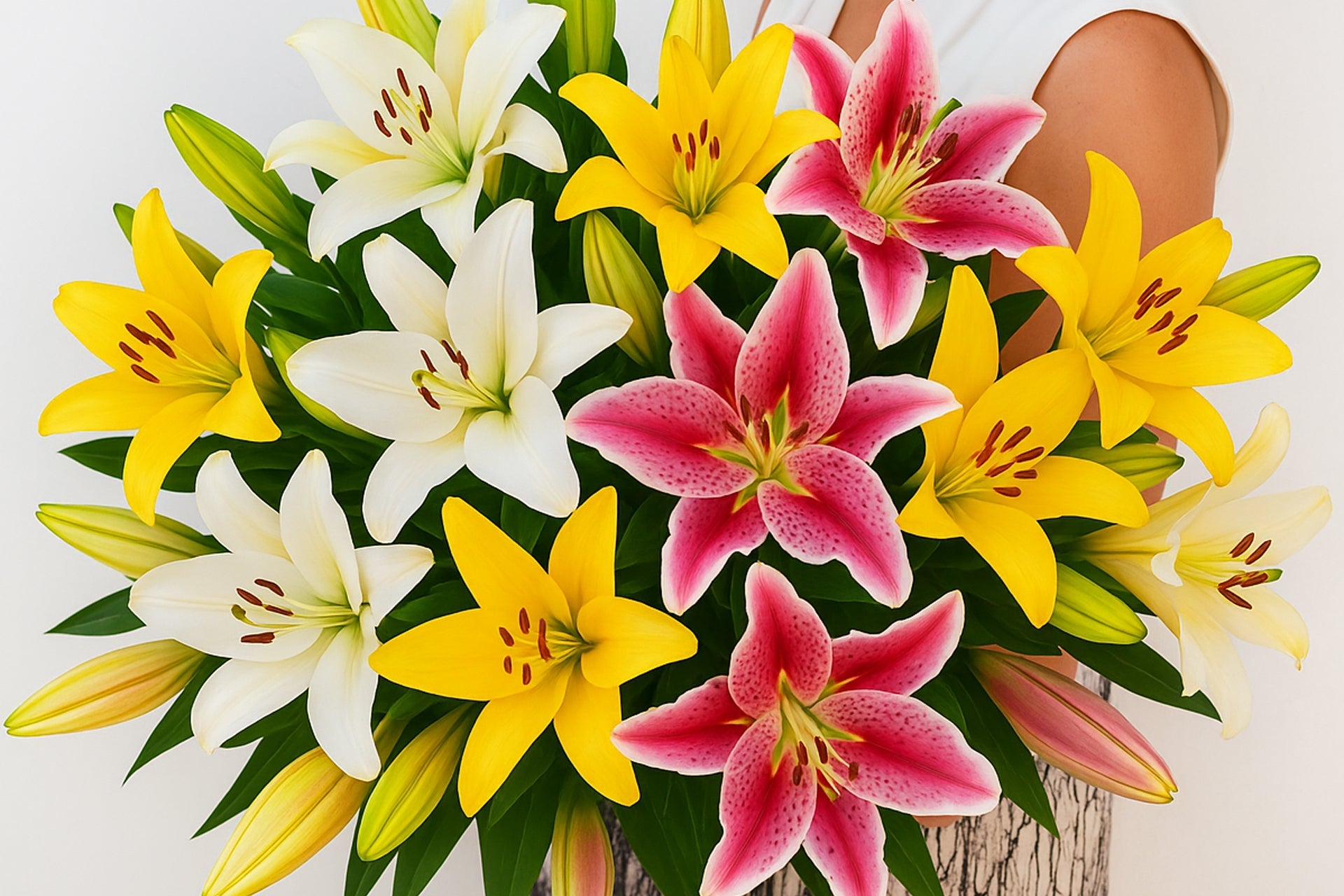 Lilies flowers in Seattle, WA | Ballard Blossom Inc – Local Flower