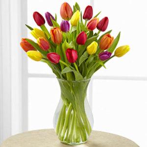 Ballard's Skagit Valley Tulips – Ballard Blossom Inc, Seattle WA
