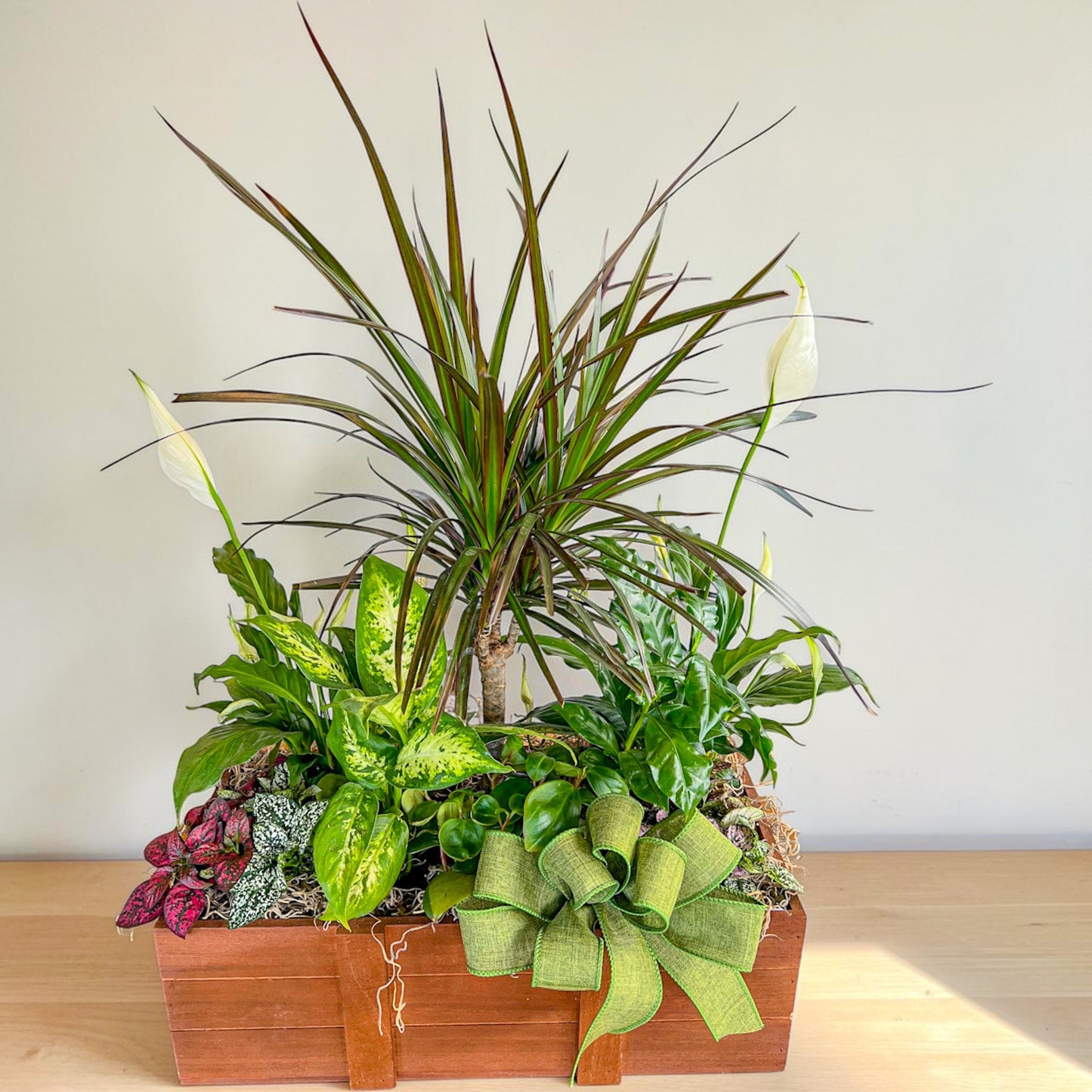 Seattle Plant Gardens Multiple Choices – Ballard Blossom Inc, Seattle WA
