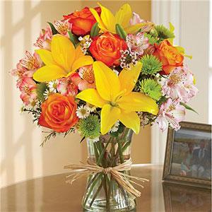 Fields of Europe – Ballard Blossom Inc, Seattle WA