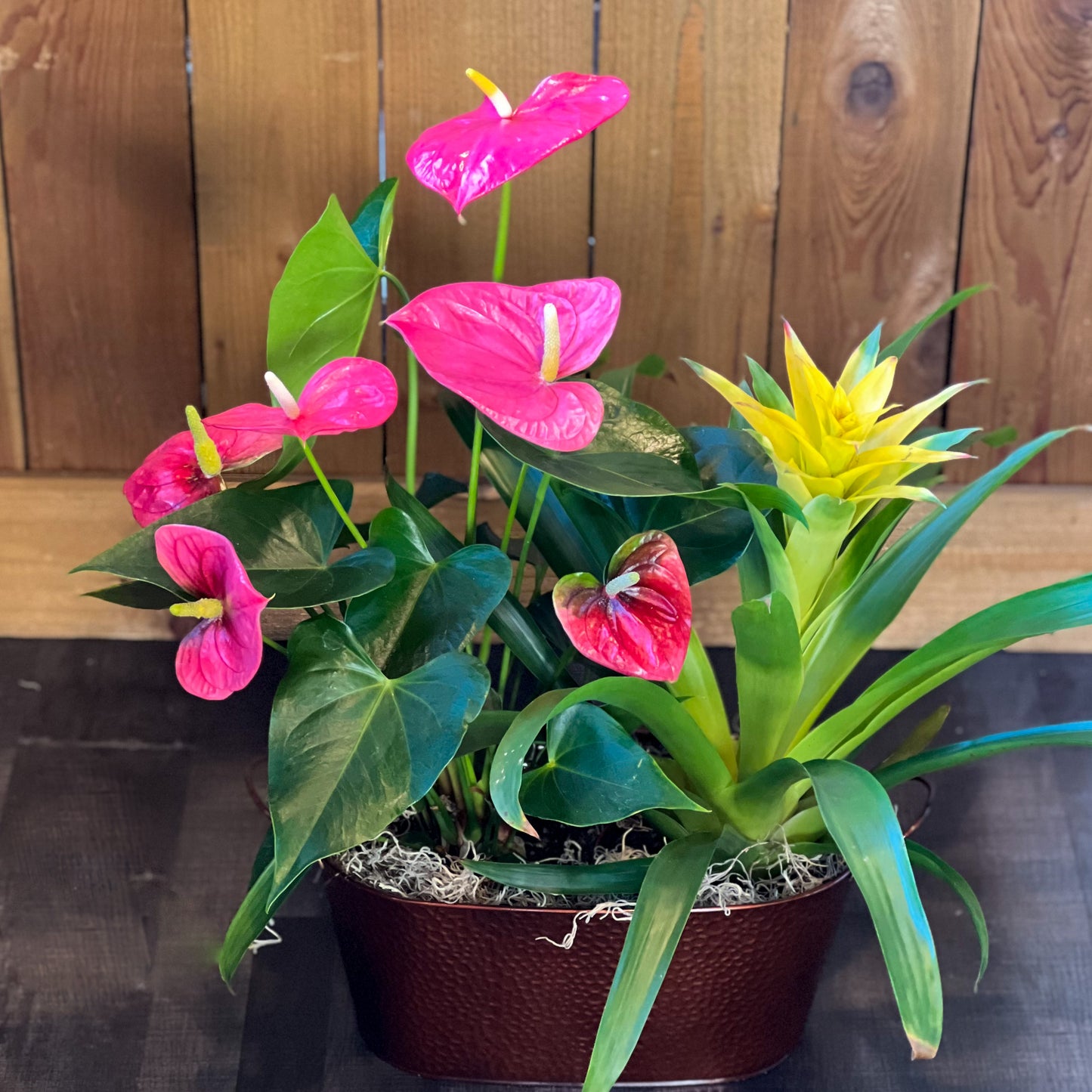 Ballard's Touch of Aloha Planter – Ballard Blossom Inc, Seattle WA