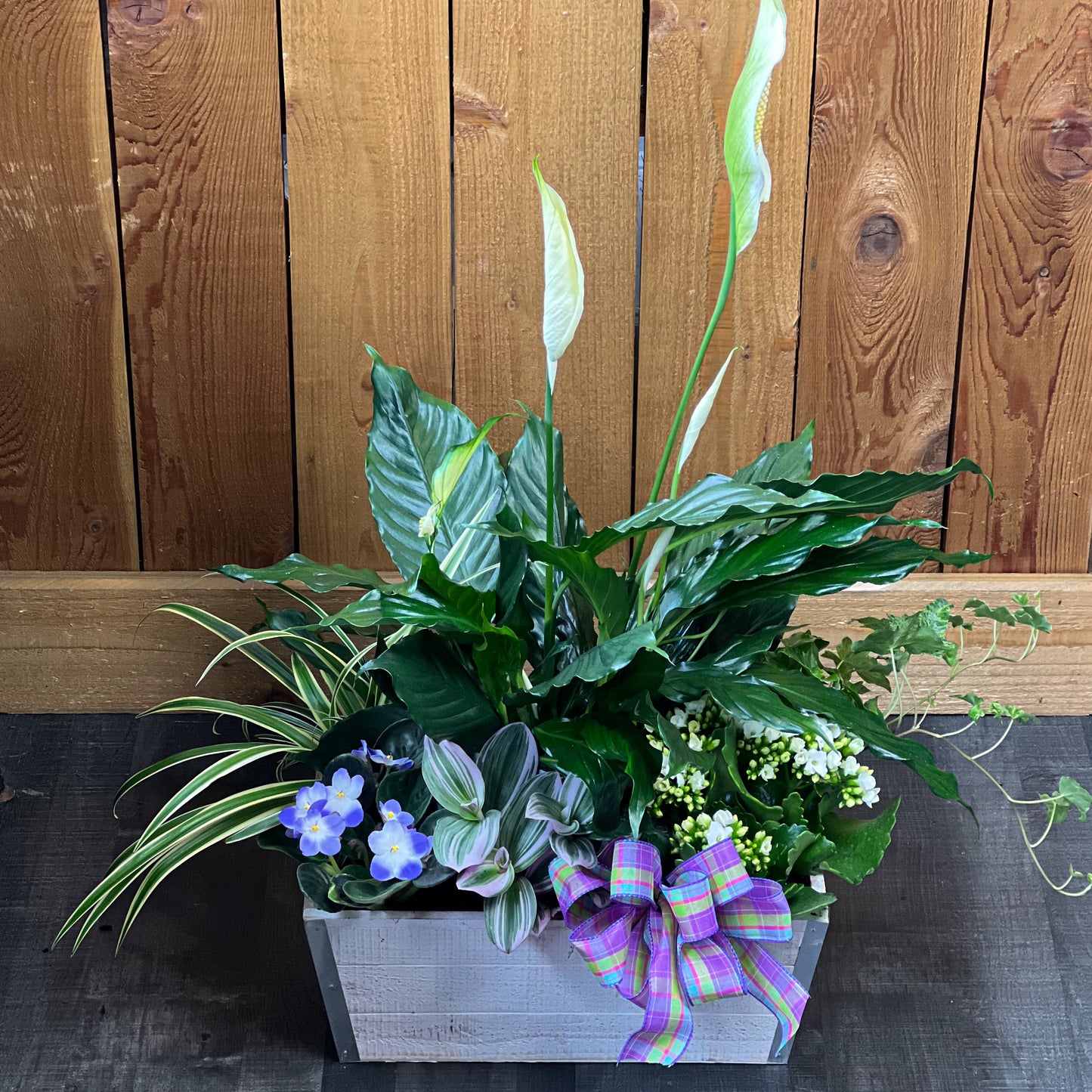 Peaceful Plant Garden – Ballard Blossom Inc, Seattle WA