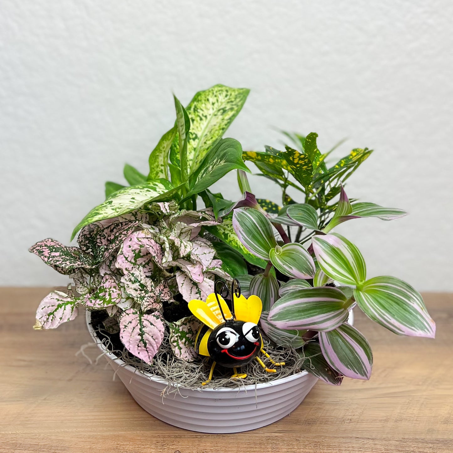 Bee Happy Plant Garden – Ballard Blossom Inc, Seattle WA