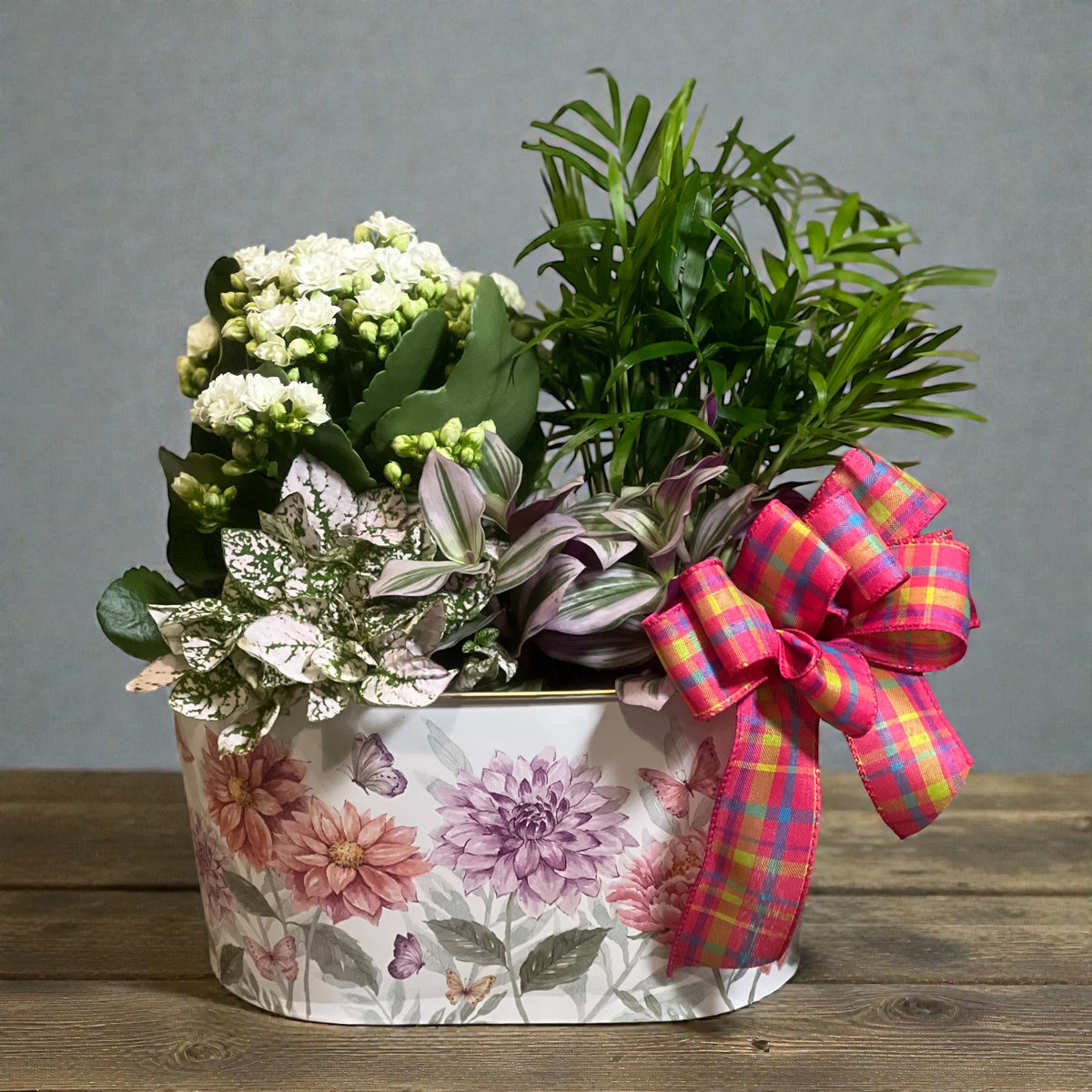 Ballard’s Green and Bloom Plant Garden – Ballard Blossom Inc, Seattle WA