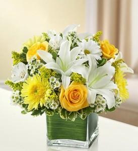 Cheerful Thoughts – Ballard Blossom Inc, Seattle WA