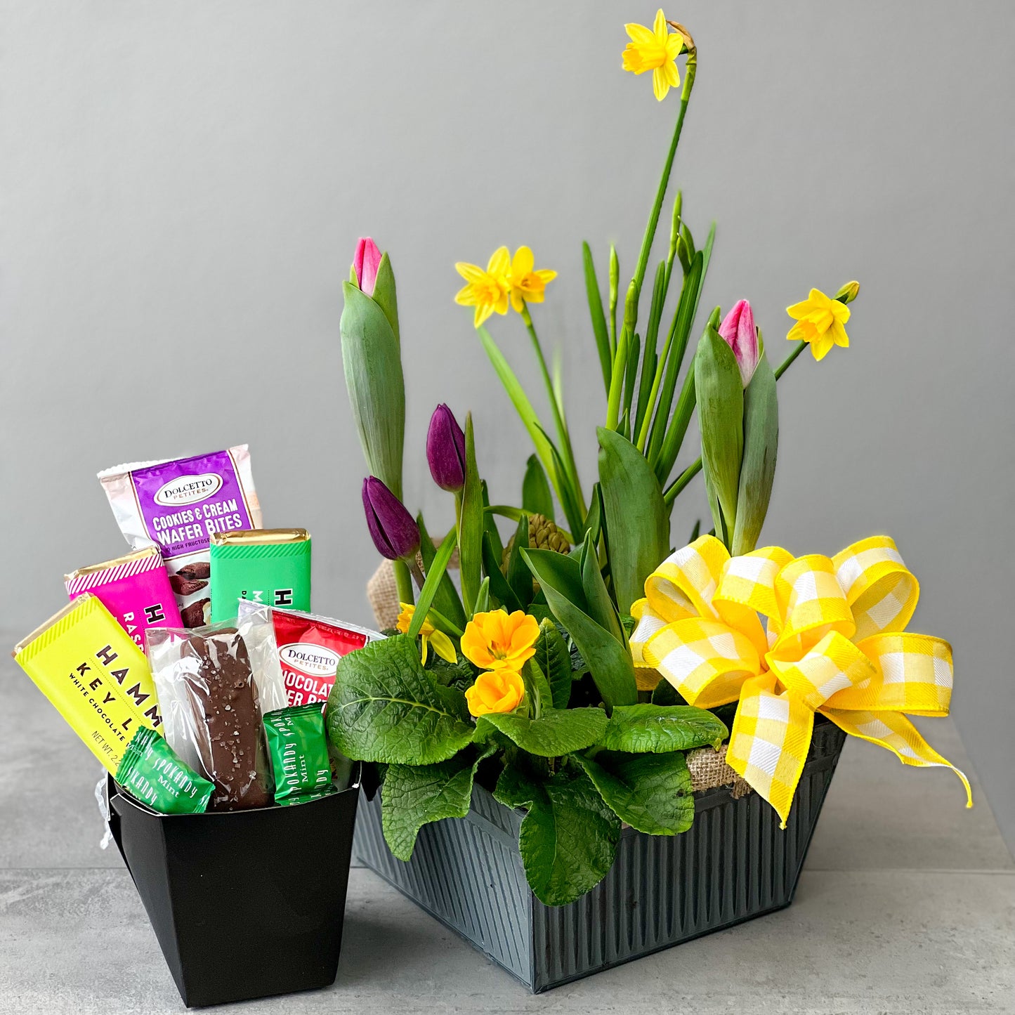 Touch of Spring Plant Garden