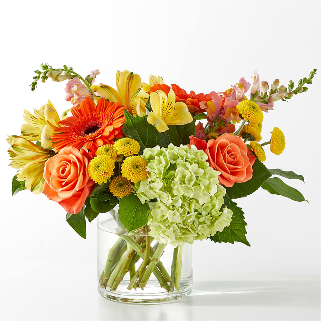 Ballard’s Sweet Spring Citrus – Ballard Blossom Inc, Seattle WA