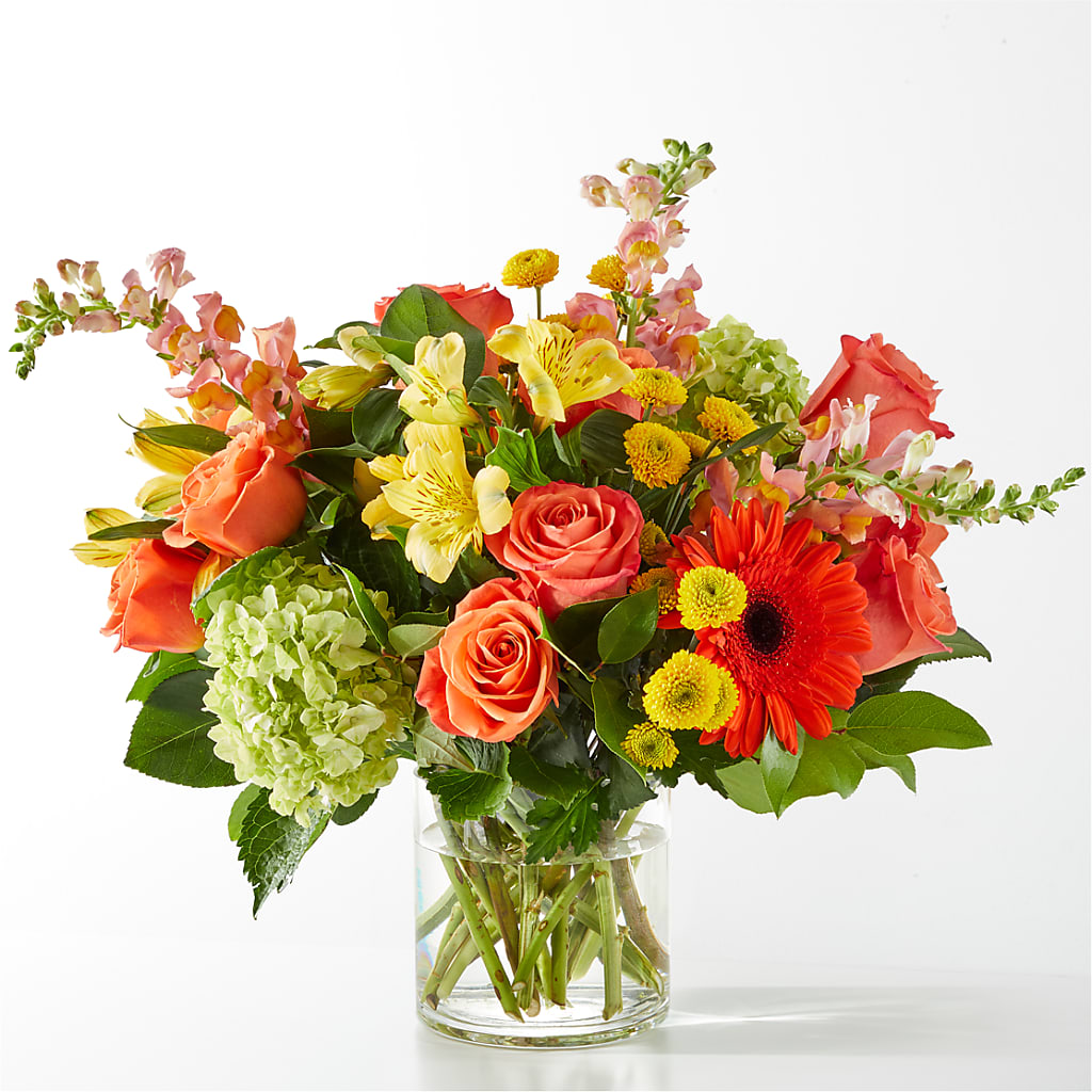 Ballard’s Sweet Spring Citrus – Ballard Blossom Inc, Seattle WA