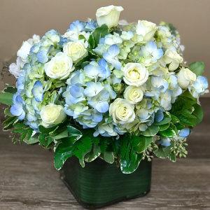 Hortensia azul y rosas blancas en espray