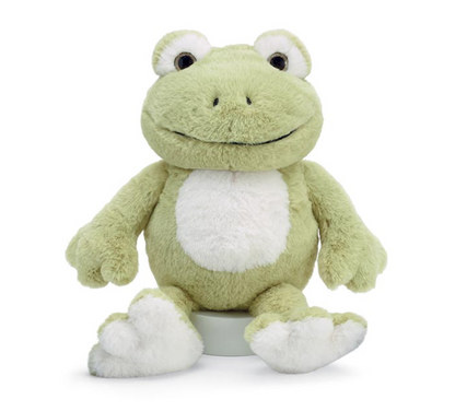 Plush Frankie Frog –  Ballard Blossom Inc, Seattle WA