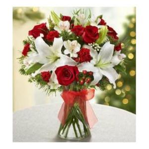 Champs d'Europe Noël