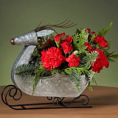 Prancer the Reindeer Bouquet 4 Choices