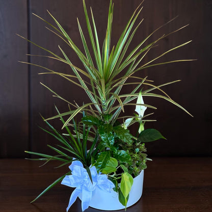 Peaceful Plant Garden –  Ballard Blossom Inc, Seattle WA