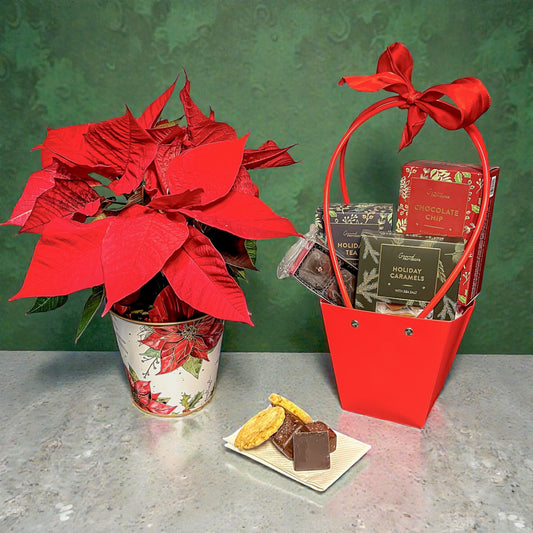 Holiday Welcome Poinsettia with Treats
