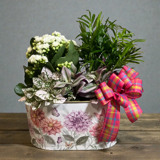 Ballard’s Green and Bloom Plant Garden  –  Ballard Blossom Inc, Seattle WA