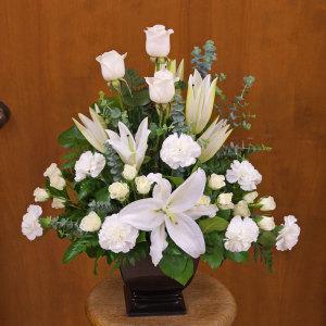 Bouquet de paix blanc