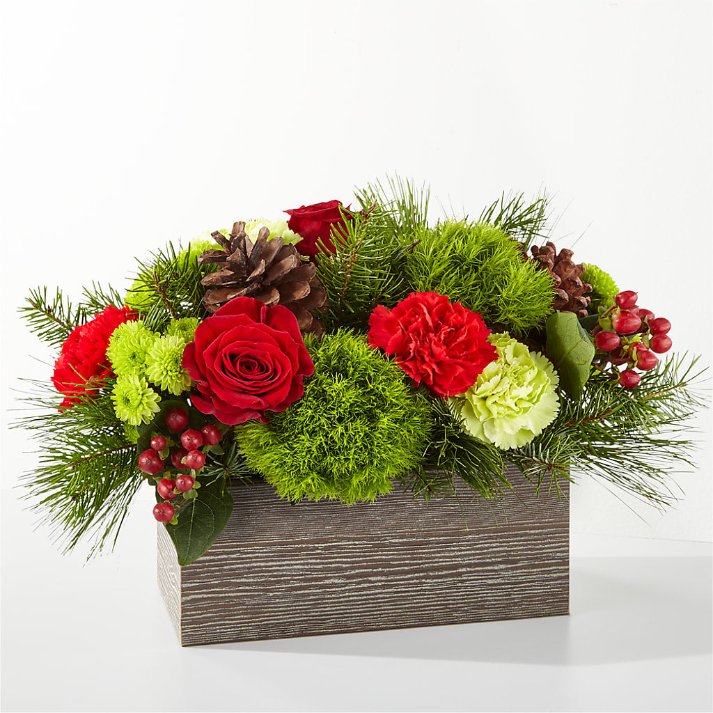 Productos–Tagged \, image size:1024x1024