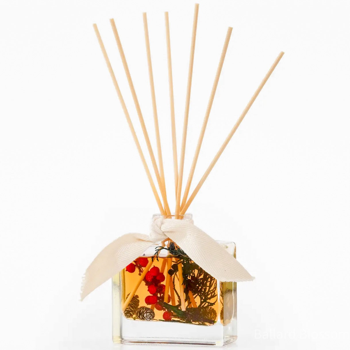 Cranberry Birch Botanical Reed Diffuser