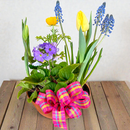 Touch of Spring Plant Garden