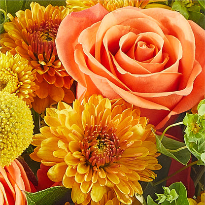 Gourdgeous Pumpkin –  Ballard Blossom Inc, Seattle WA