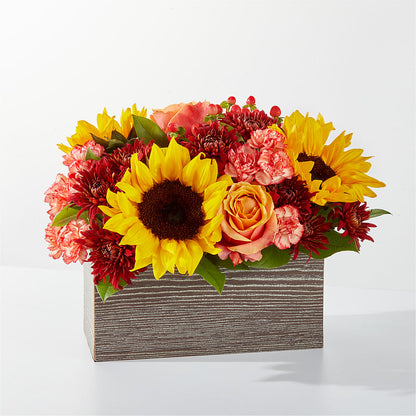 Fresh Cider Bouquet –  Ballard Blossom Inc, Seattle WA
