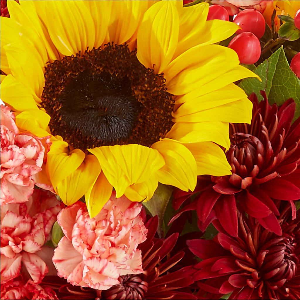 Fresh Cider Bouquet –  Ballard Blossom Inc, Seattle WA