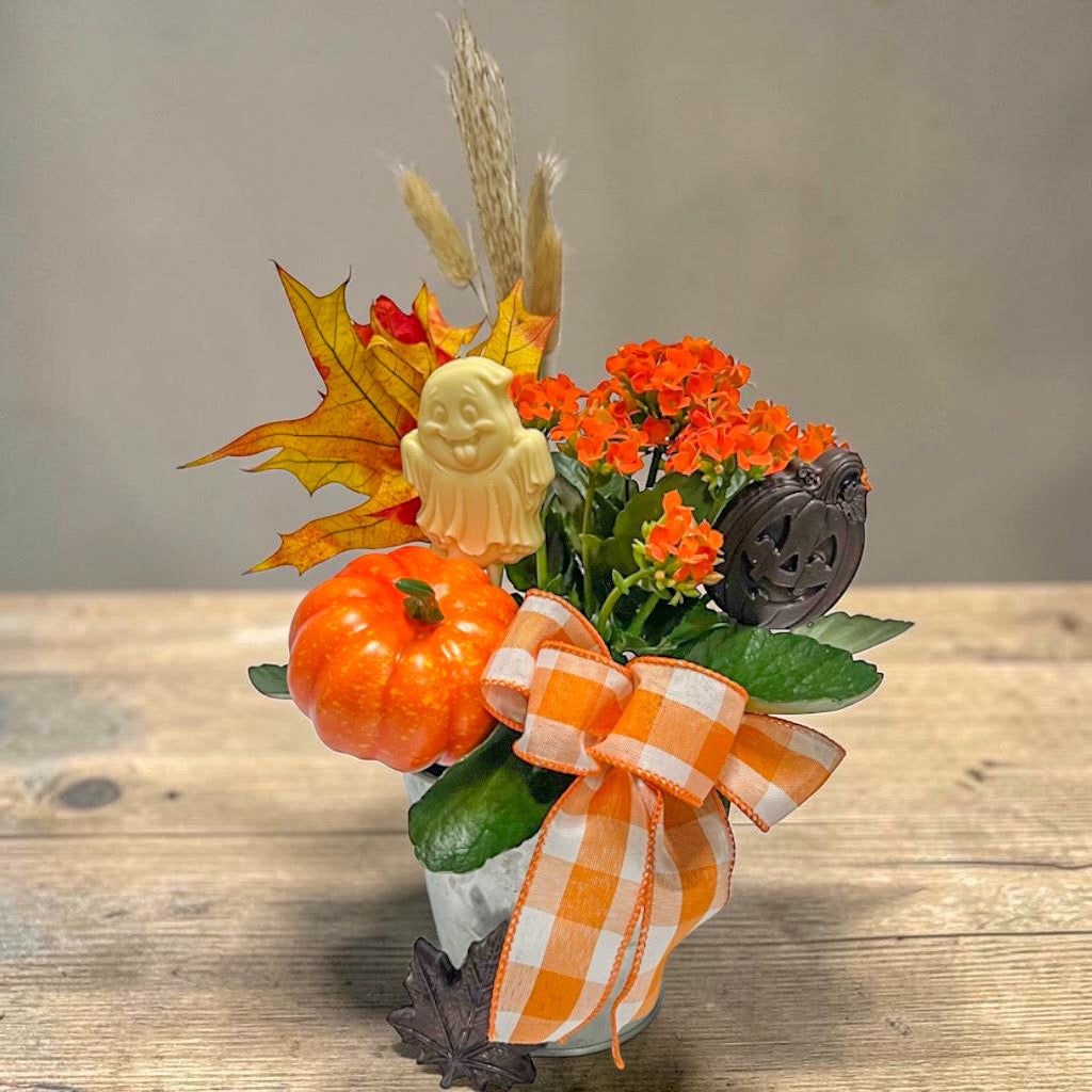 Halloween Plant with Chocolate Treats –  Ballard Blossom Inc, Seattle WA