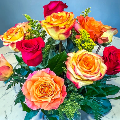 April Sunshine Rose Special