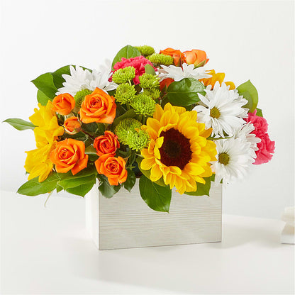 Bouquet de boîtes de fleurs gorgées de soleil