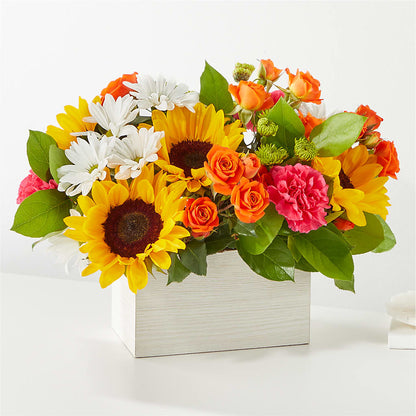 Bouquet de boîtes de fleurs gorgées de soleil