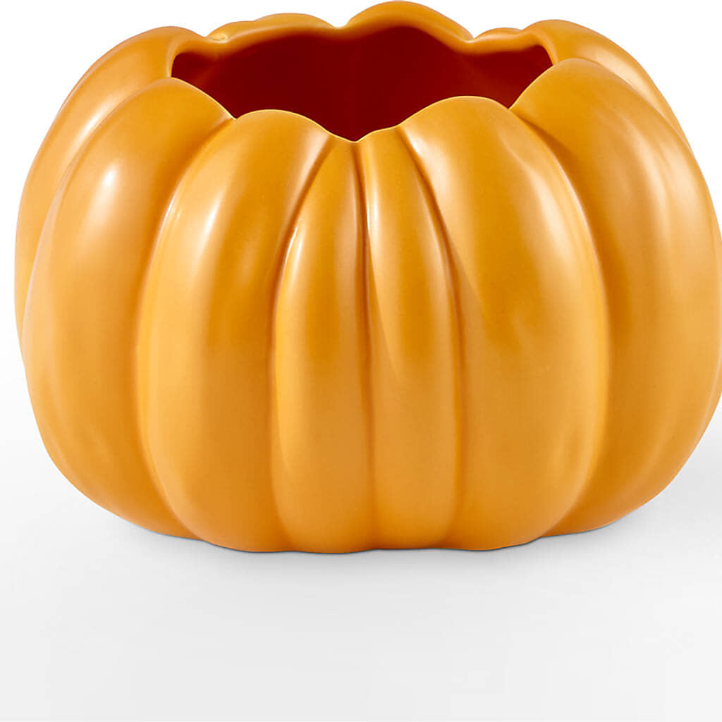Golden Gourd Pumpkin Bouquet –  Ballard Blossom Inc, Seattle WA