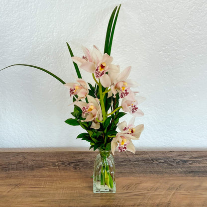 Orchid Bud Vase –  Ballard Blossom Inc, Seattle WA
