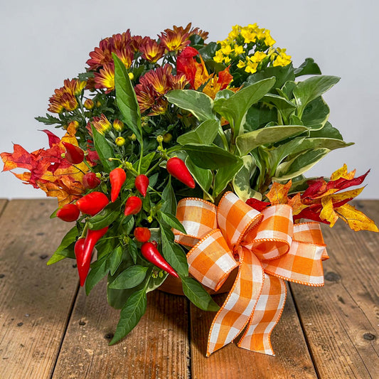 Welcome Fall Planter –  Ballard Blossom Inc, Seattle WA