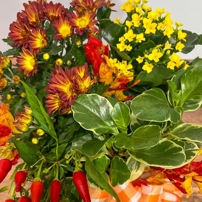 Welcome Fall Planter –  Ballard Blossom Inc, Seattle WA