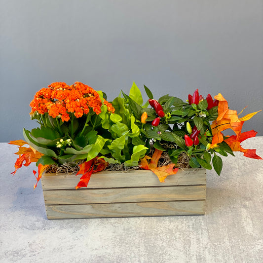 Rustic Fall Planter