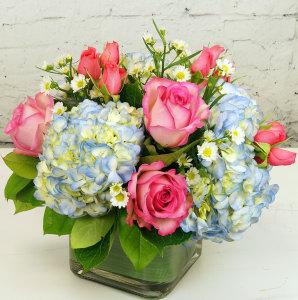 Sweetest Wishes –  Ballard Blossom Inc, Seattle WA