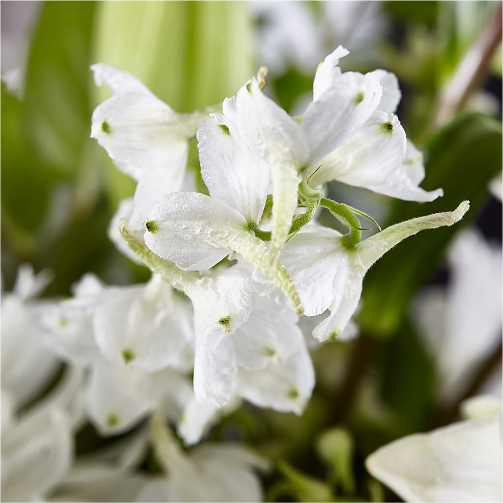Classic Ivory – A Florist Original –  Ballard Blossom Inc, Seattle WA