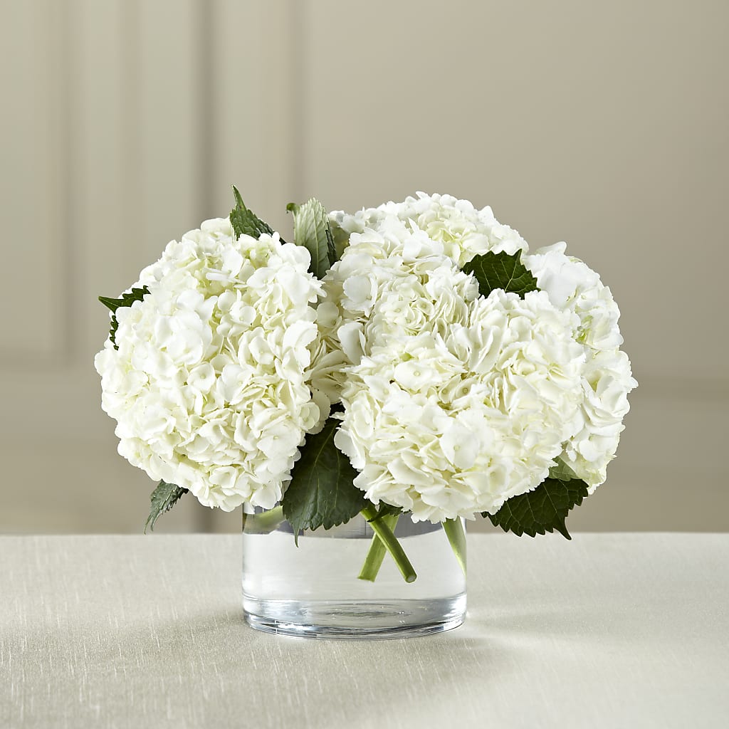 White Hydrangea Bouquet –  Ballard Blossom Inc, Seattle WA