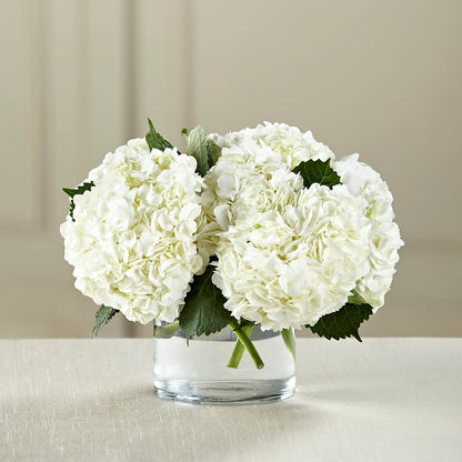 White Hydrangea Bouquet –  Ballard Blossom Inc, Seattle WA